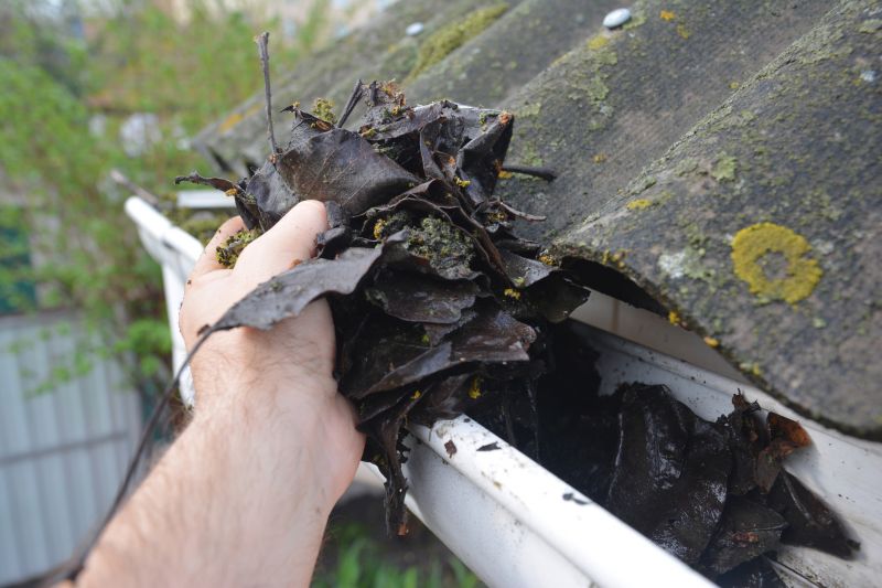 Gutter Blockage Removal in Monmouth County, NJ