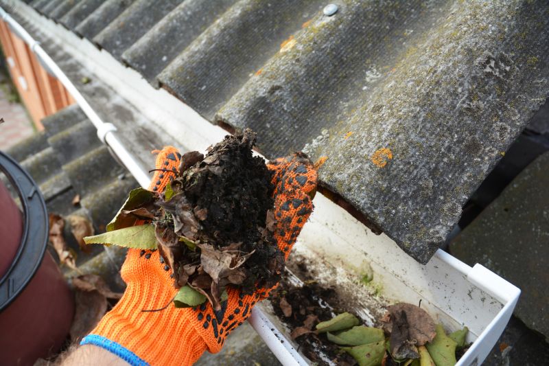 Gutter Leaves Removal in Longmont, CO