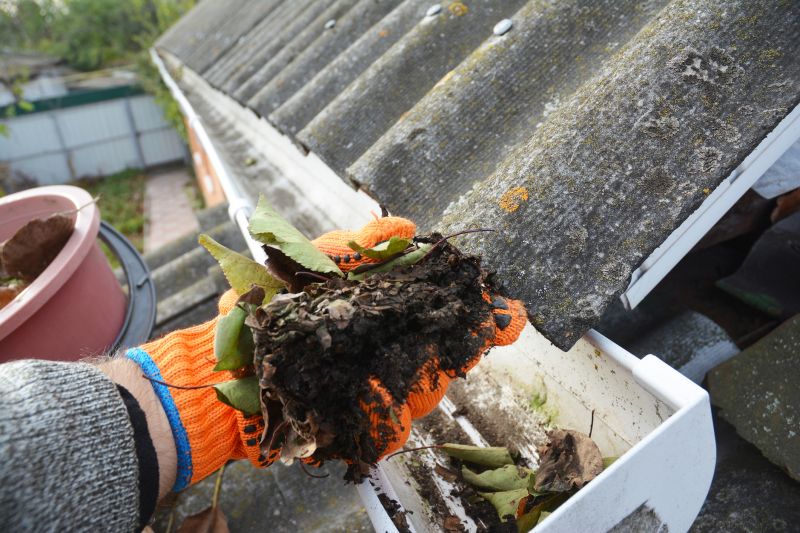 Gutter Pine Needle Removal in Bergen County, NJ